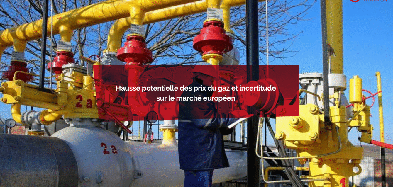 Blog mares Blog mares